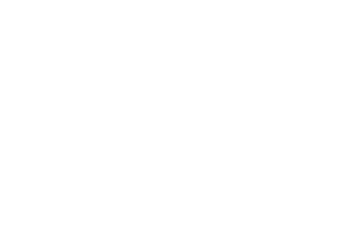 Logo Primary